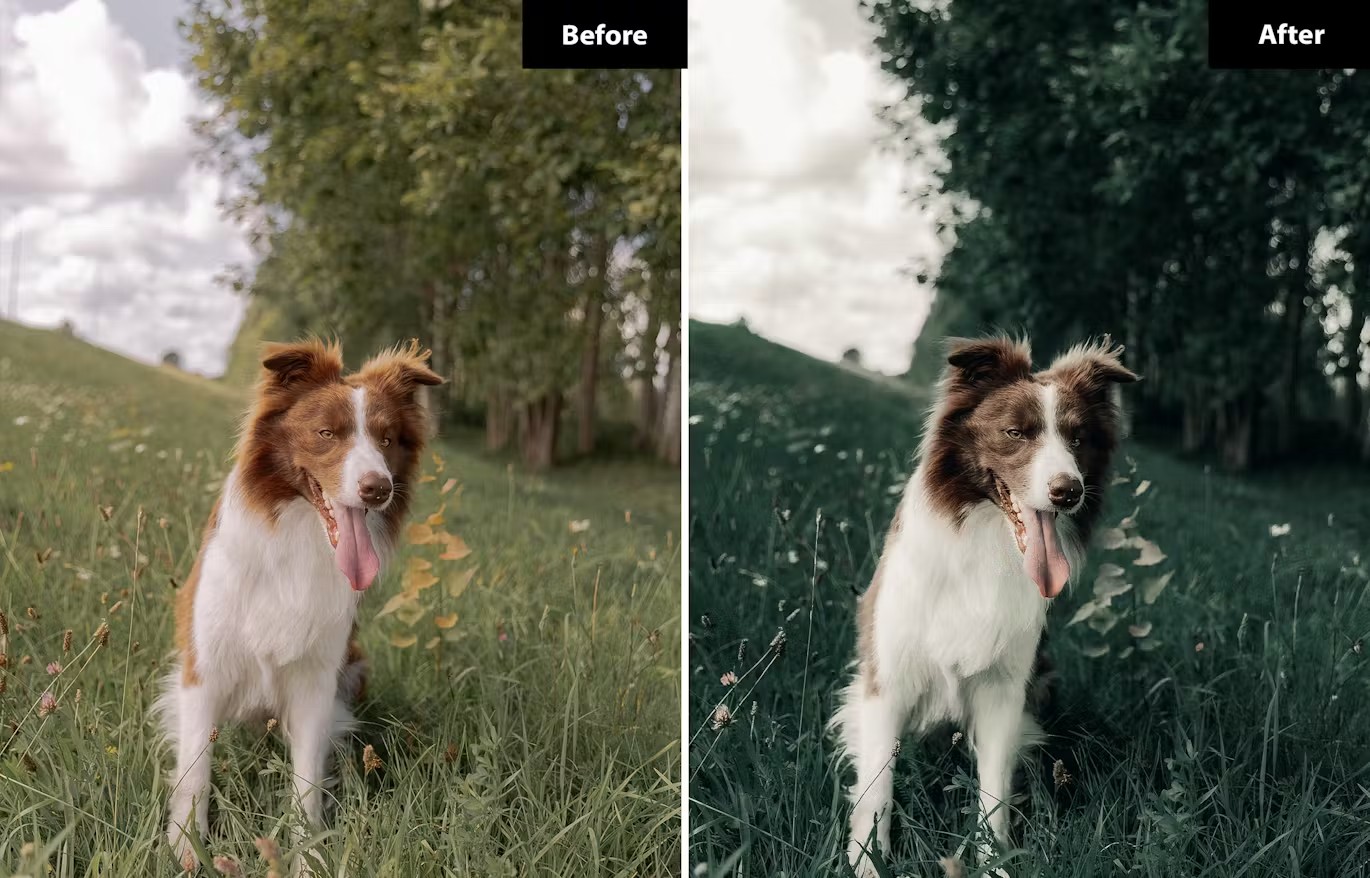 现代电影黑暗深绿色摄影后期调色Lightroom预设 6 hellgrüne Lightroom- und Photoshop-Voreinstellungen 插件预设 sucaiwan.com