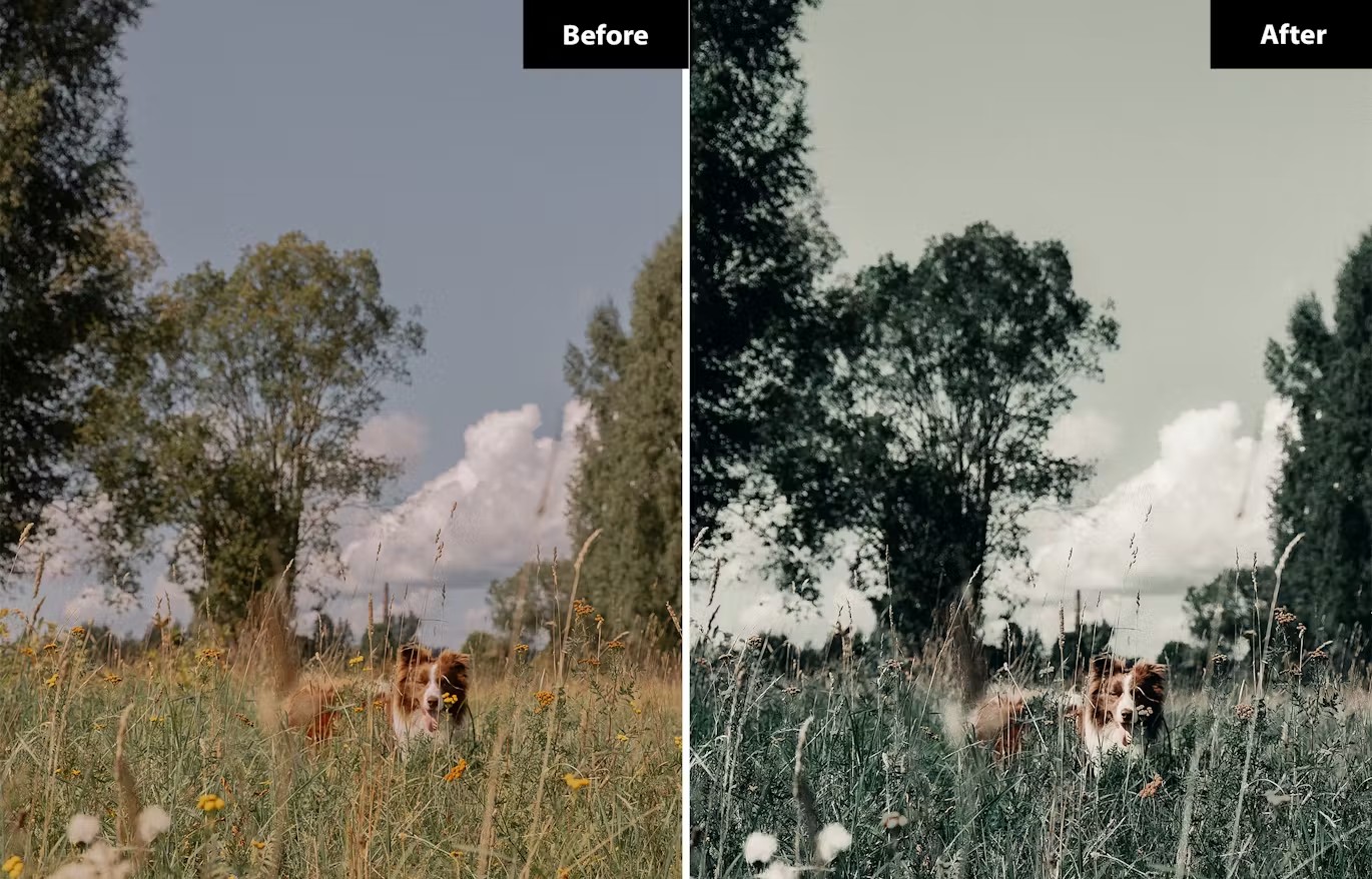 现代电影黑暗深绿色摄影后期调色Lightroom预设 6 hellgrüne Lightroom- und Photoshop-Voreinstellungen 插件预设 sucaiwan.com