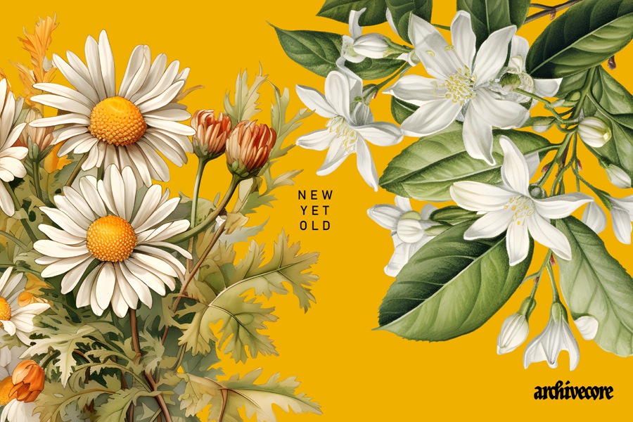 122复古拼贴艺术手绘插画花朵花卉植物树叶PNG剪贴画免扣元素图案印花设计套装BOOK OF FLOWERS 1 by angelainthefields 图片素材 第10张-素材湾丨精选海外优质设计素材资源 122复古拼贴艺术手绘插画花朵花卉植物树叶PNG剪贴画免扣元素图案印花设计套装BOOK OF FLOWERS 1 by angelainthefields 图片素材 sucaiwan.com