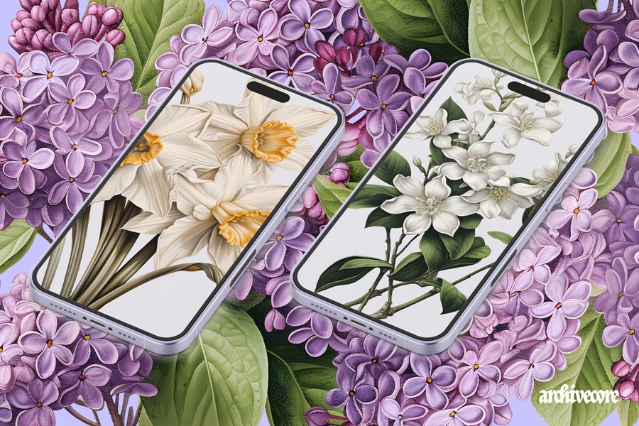 122复古拼贴艺术手绘插画花朵花卉植物树叶PNG剪贴画免扣元素图案印花设计套装BOOK OF FLOWERS 1 by angelainthefields 图片素材 第15张-素材湾丨精选海外优质设计素材资源 122复古拼贴艺术手绘插画花朵花卉植物树叶PNG剪贴画免扣元素图案印花设计套装BOOK OF FLOWERS 1 by angelainthefields 图片素材 sucaiwan.com