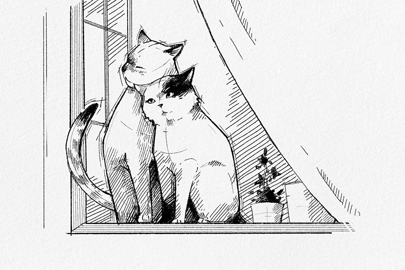 仿素描草图效果PS和Illustrator笔刷 , sucaiwan.com