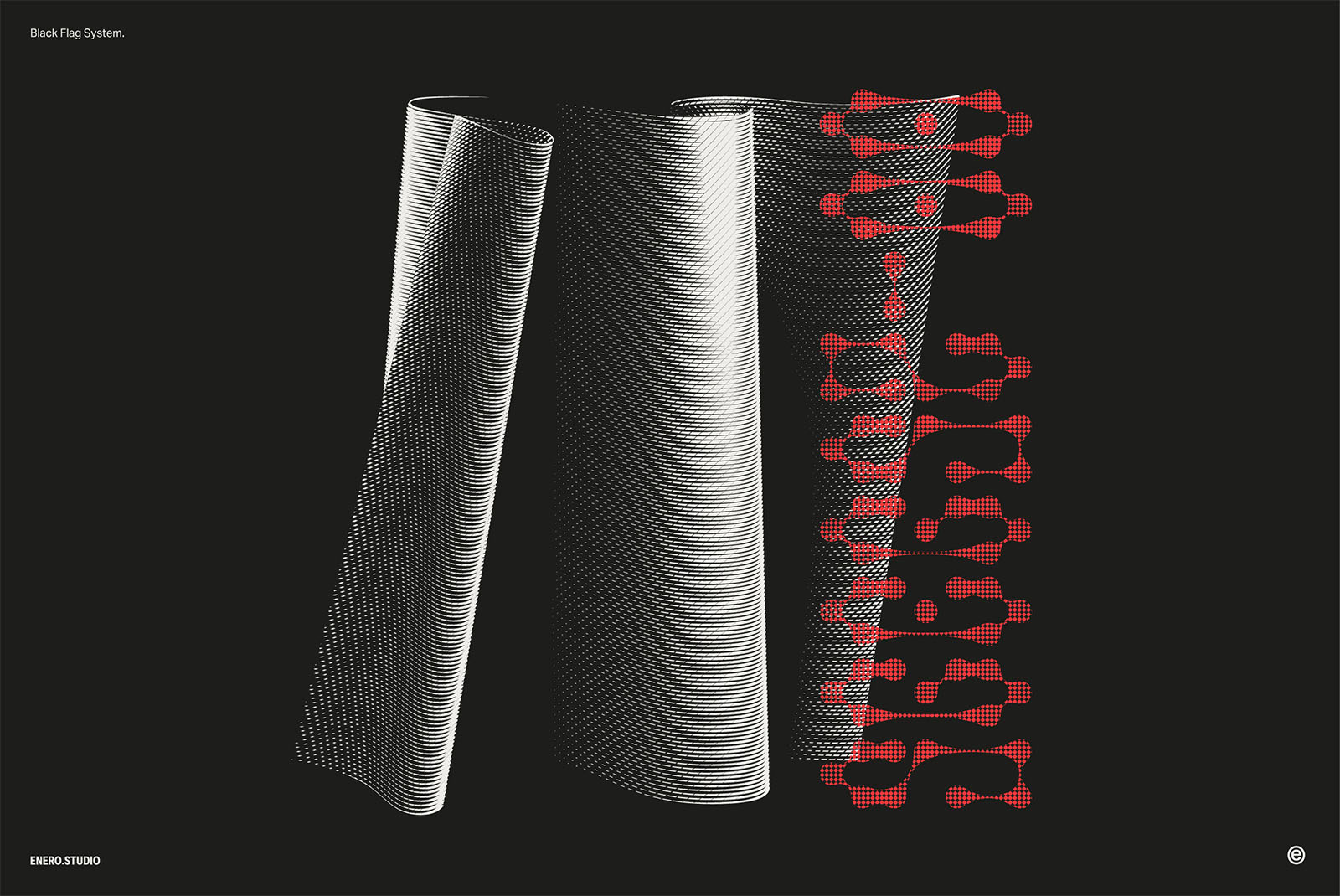 30款3D立体抽象艺术波浪线条网格旗帜AI矢量插画插图图形海报背景设计套装Black Flag Vector Pack 图片素材 sucaiwan.com