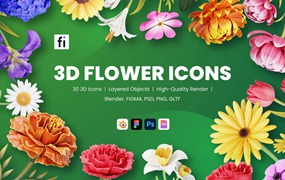 30款高级花卉花朵3D插画插图图标Icons设计BLEND_PNG_FIG_PSD格式素材