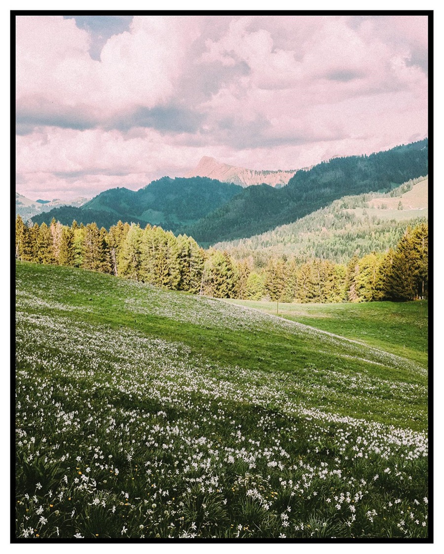 经典魅力一键式真实胶片电影美学怀旧色调胶片摄影LR调色预设 Filmiclab ClassicFilm 2 - Pro Lightroom Profiles 插件预设 第11张-素材湾丨精选海外优质设计素材资源 经典魅力一键式真实胶片电影美学怀旧色调胶片摄影LR调色预设 Filmiclab ClassicFilm 2 - Pro Lightroom Profiles 插件预设 sucaiwan.com