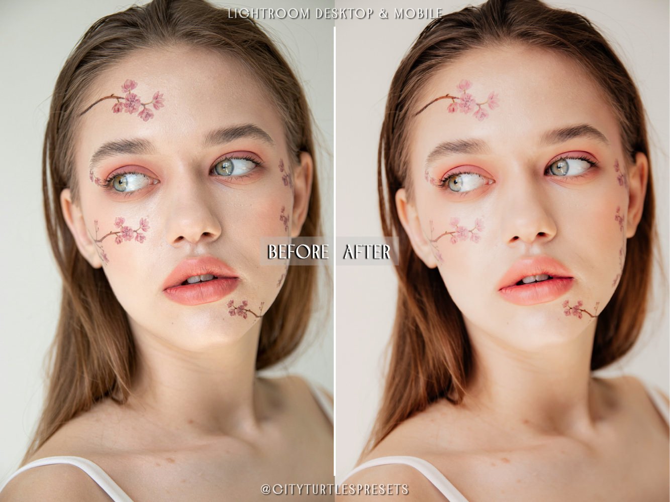 LR/PS预设-韩国玻璃皮肤Lightroom预设 Korean Glass Skin Lightroom Presets , sucaiwan.com
