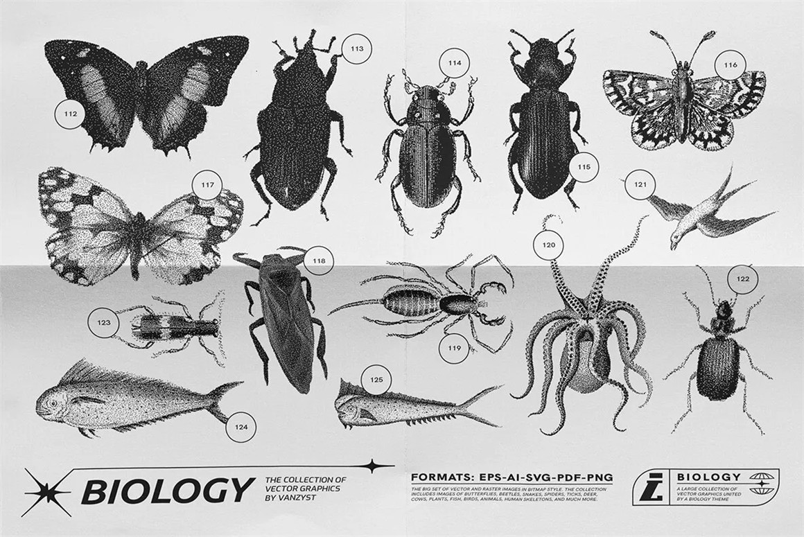125款复古生物学昆虫动物鸟类鱼类人体骨骼植物自然界像素位图AI矢量插画PNG免扣设计套装 125 Vector Bitmap Assets. Biology , sucaiwan.com