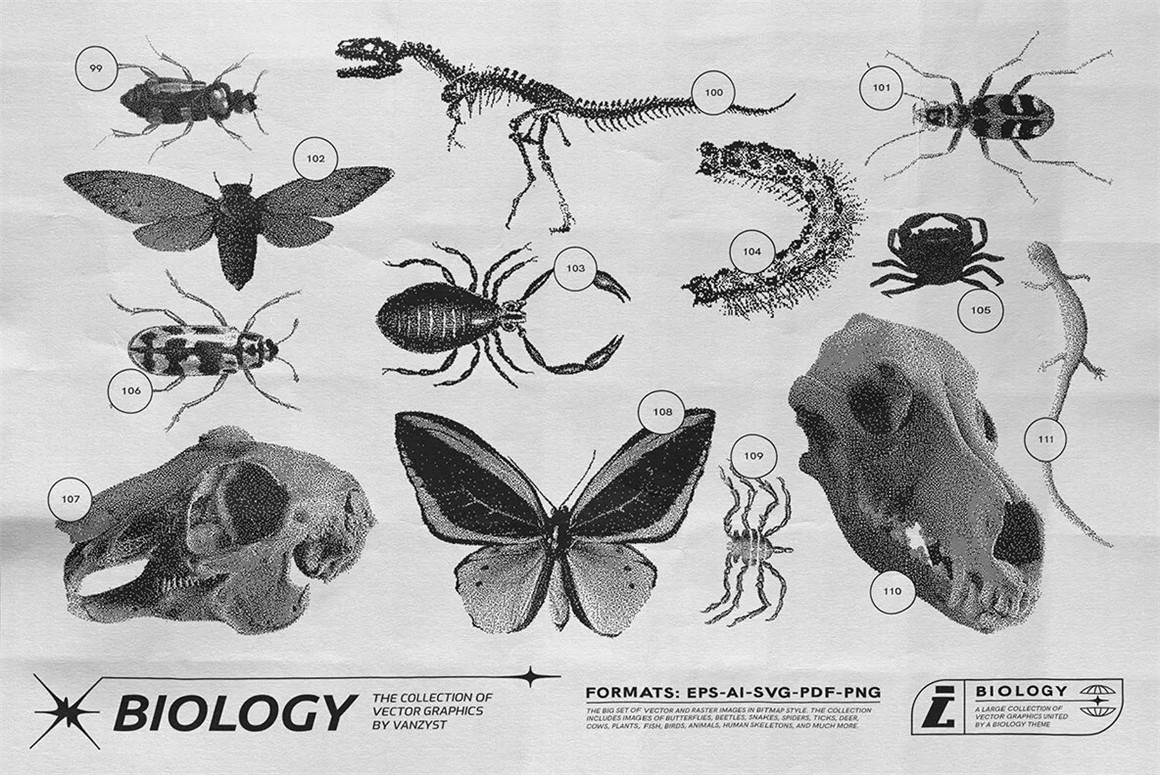 125款复古生物学昆虫动物鸟类鱼类人体骨骼植物自然界像素位图AI矢量插画PNG免扣设计套装 125 Vector Bitmap Assets. Biology , sucaiwan.com