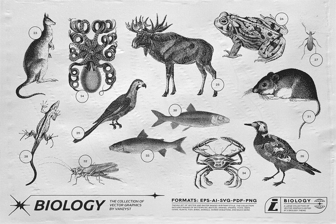 125款复古生物学昆虫动物鸟类鱼类人体骨骼植物自然界像素位图AI矢量插画PNG免扣设计套装 125 Vector Bitmap Assets. Biology , sucaiwan.com