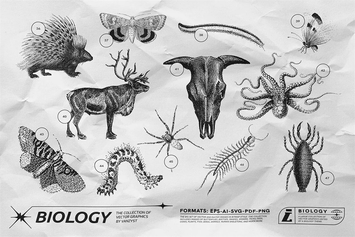 125款复古生物学昆虫动物鸟类鱼类人体骨骼植物自然界像素位图AI矢量插画PNG免扣设计套装 125 Vector Bitmap Assets. Biology , sucaiwan.com