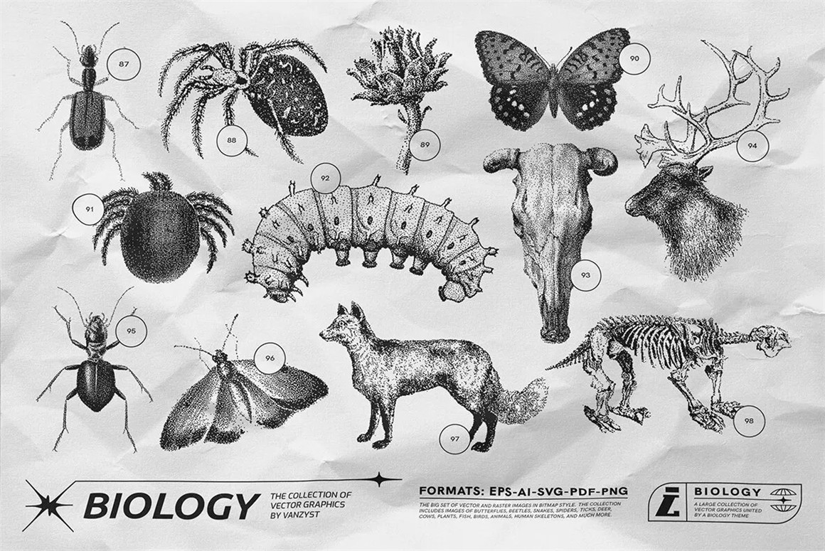 125款复古生物学昆虫动物鸟类鱼类人体骨骼植物自然界像素位图AI矢量插画PNG免扣设计套装 125 Vector Bitmap Assets. Biology , sucaiwan.com