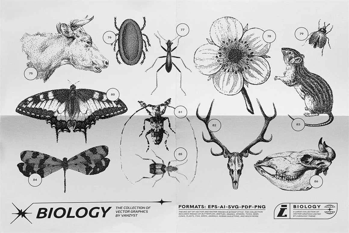 125款复古生物学昆虫动物鸟类鱼类人体骨骼植物自然界像素位图AI矢量插画PNG免扣设计套装 125 Vector Bitmap Assets. Biology , sucaiwan.com