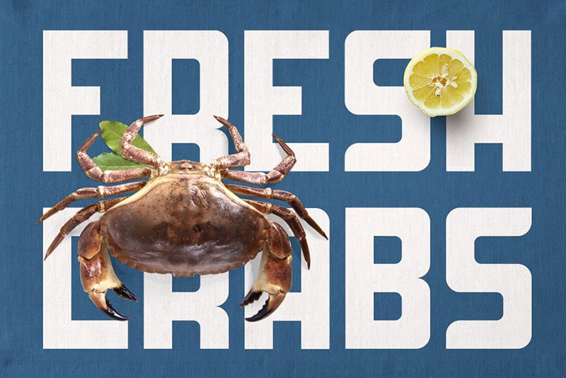 6款产品包装设计的英文字体 设计素材 sucaiwan.com