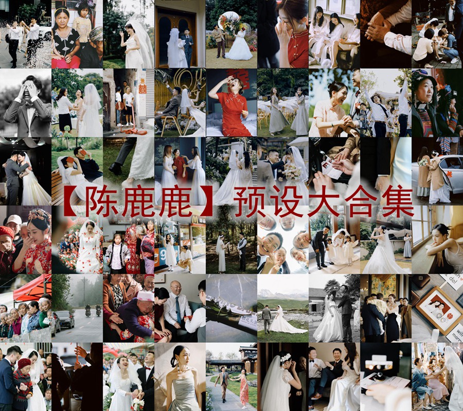 抖音小红书网红摄影师【陈鹿鹿】预设大合集常用精选婚礼预设2024最新素材湾优化版 电脑版ps/lr预设配置文件滤镜附教程 插件预设 sucaiwan.com