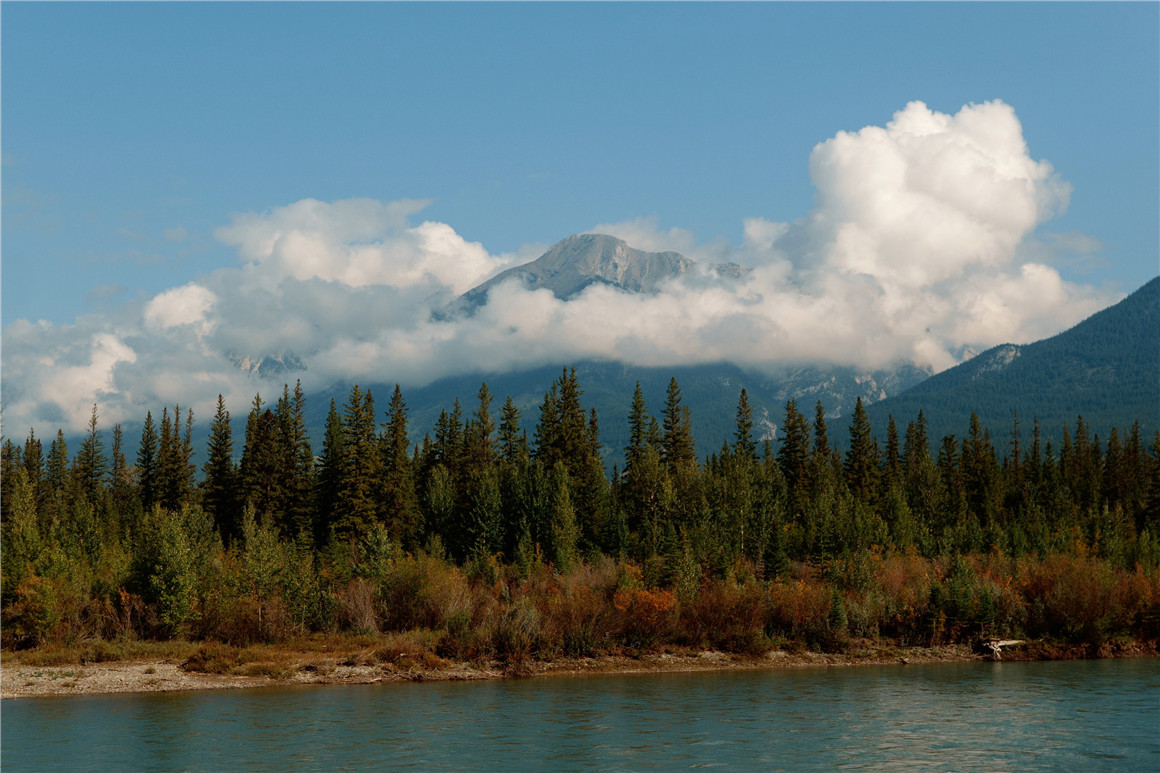 Stalman Lumix LUTs 松下V Log胶片模拟仿真Rec709色彩还原LUT调色预设 插件预设 sucaiwan.com