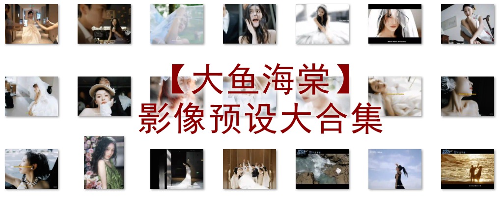 抖音小红书网红摄影工作室【大鱼海棠】影像预设大合集常用精选婚礼预设2024最新素材湾优化版 电脑版ps/lr预设配置文件滤镜附教程 插件预设 sucaiwan.com