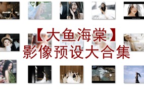 抖音小红书网红摄影工作室【大鱼海棠】影像预设大合集常用精选婚礼预设2024最新素材湾优化版 电脑版ps/lr预设配置文件滤镜附教程