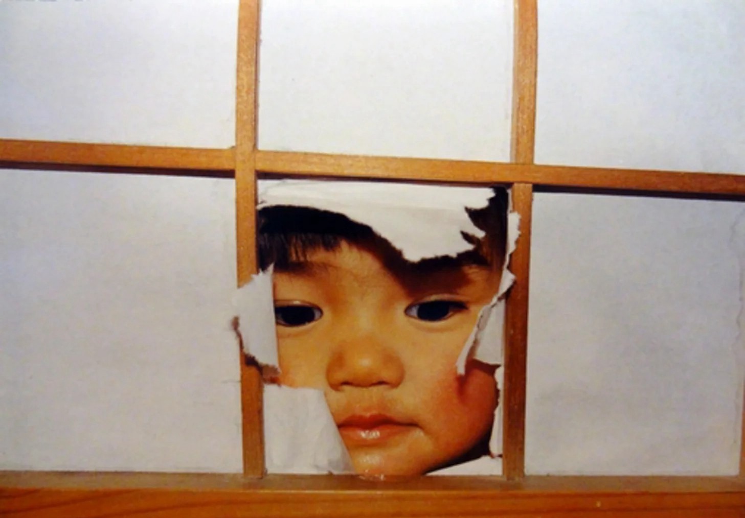 日本日系摄影师【川岛小鸟】预设日系街拍人像LR预设复古胶片PS调色PR滤镜LUT预设合集 插件预设 sucaiwan.com