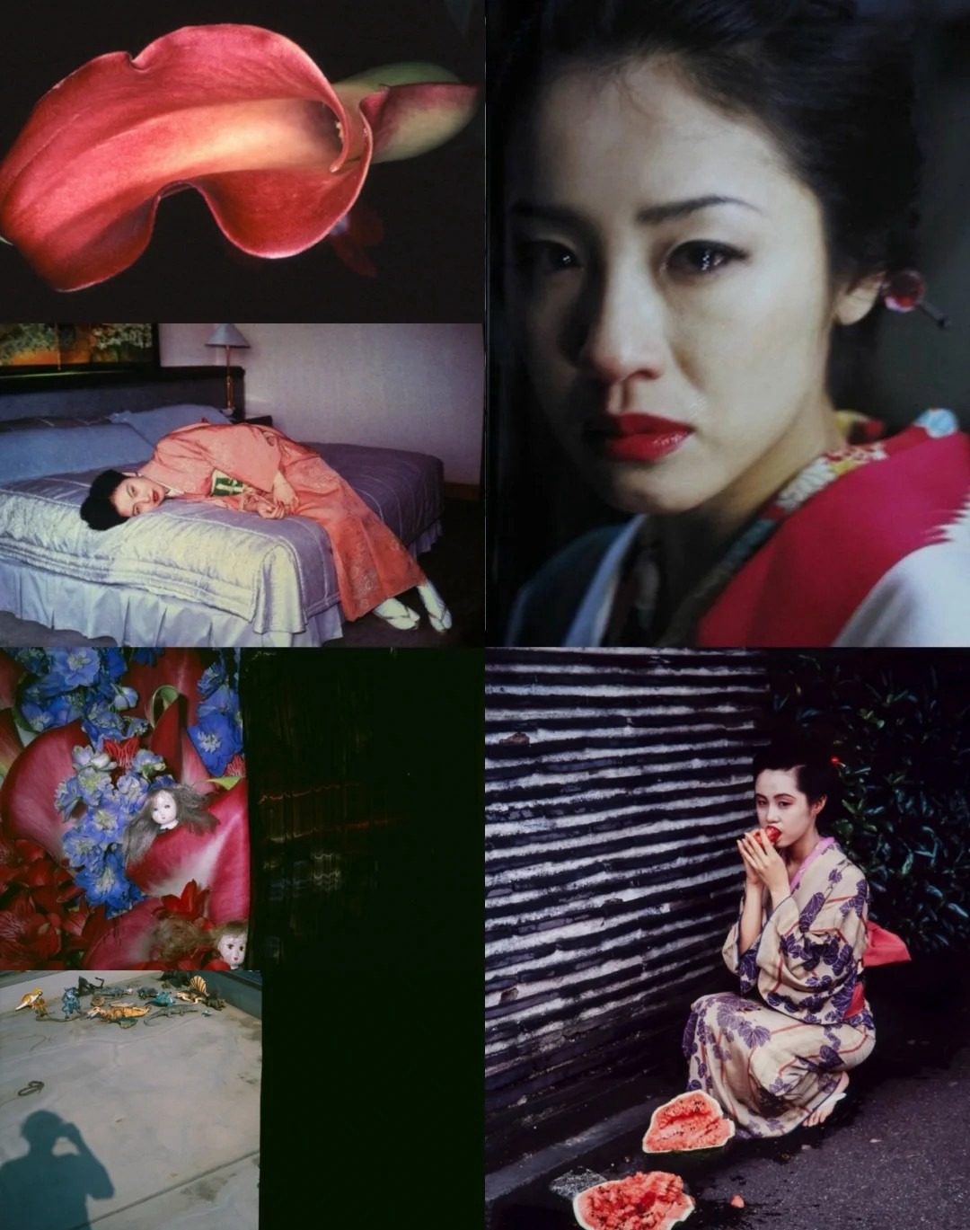 日本日系摄影师【荒木经惟】预设合集Nobuyoshi Araki荒诞怪诞风纪实人文摄影LR预设PS调色PR剪映滤镜LUT预设 插件预设 sucaiwan.com
