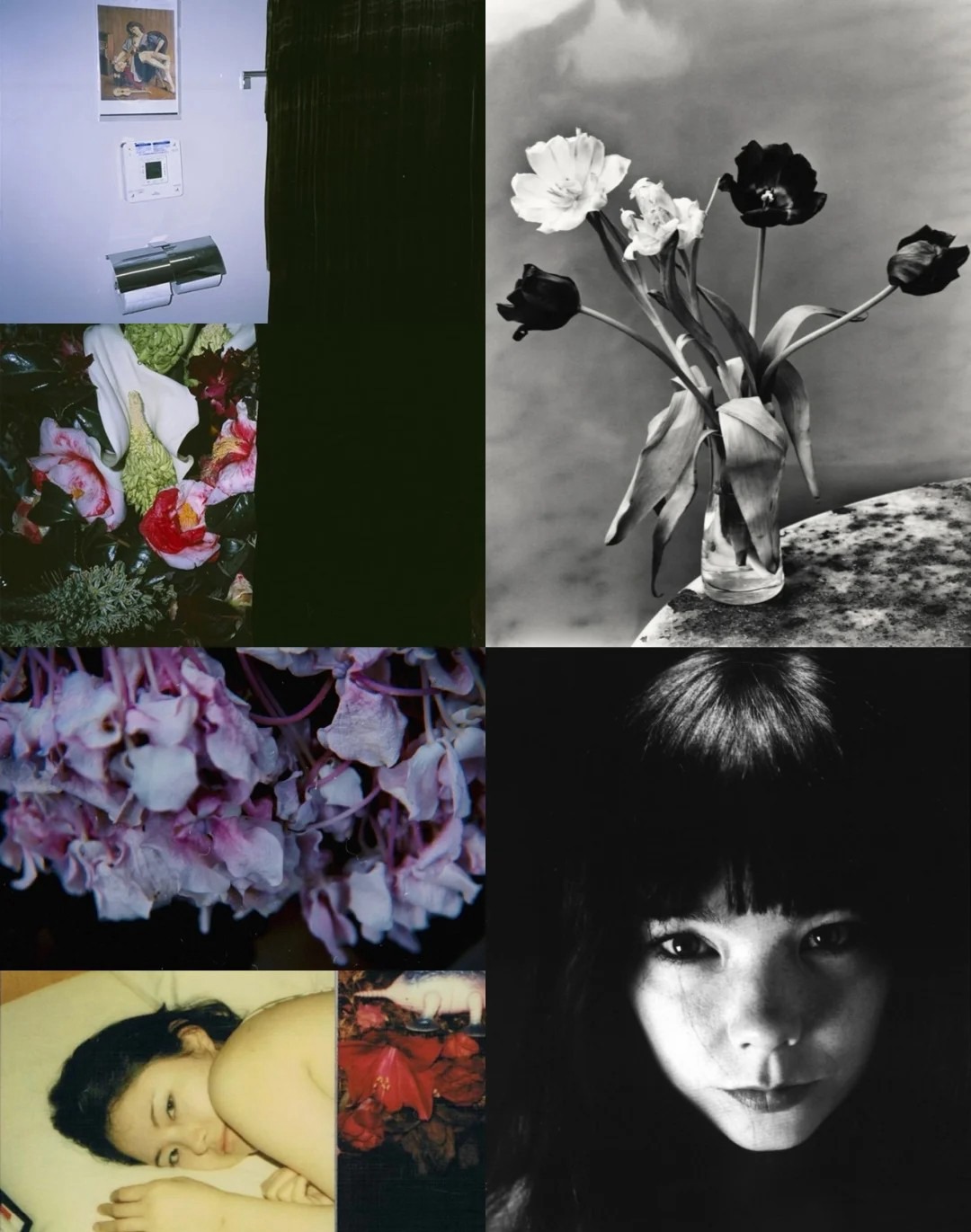 日本日系摄影师【荒木经惟】预设合集Nobuyoshi Araki荒诞怪诞风纪实人文摄影LR预设PS调色PR剪映滤镜LUT预设 插件预设 sucaiwan.com