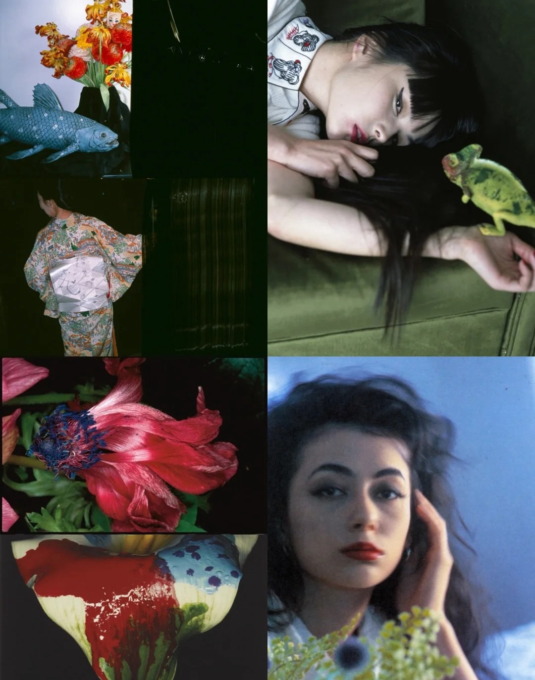 日本日系摄影师【荒木经惟】预设合集Nobuyoshi Araki荒诞怪诞风纪实人文摄影LR预设PS调色PR剪映滤镜LUT预设 插件预设 sucaiwan.com