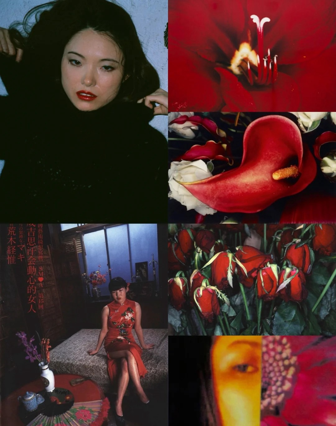 日本日系摄影师【荒木经惟】预设合集Nobuyoshi Araki荒诞怪诞风纪实人文摄影LR预设PS调色PR剪映滤镜LUT预设 插件预设 sucaiwan.com