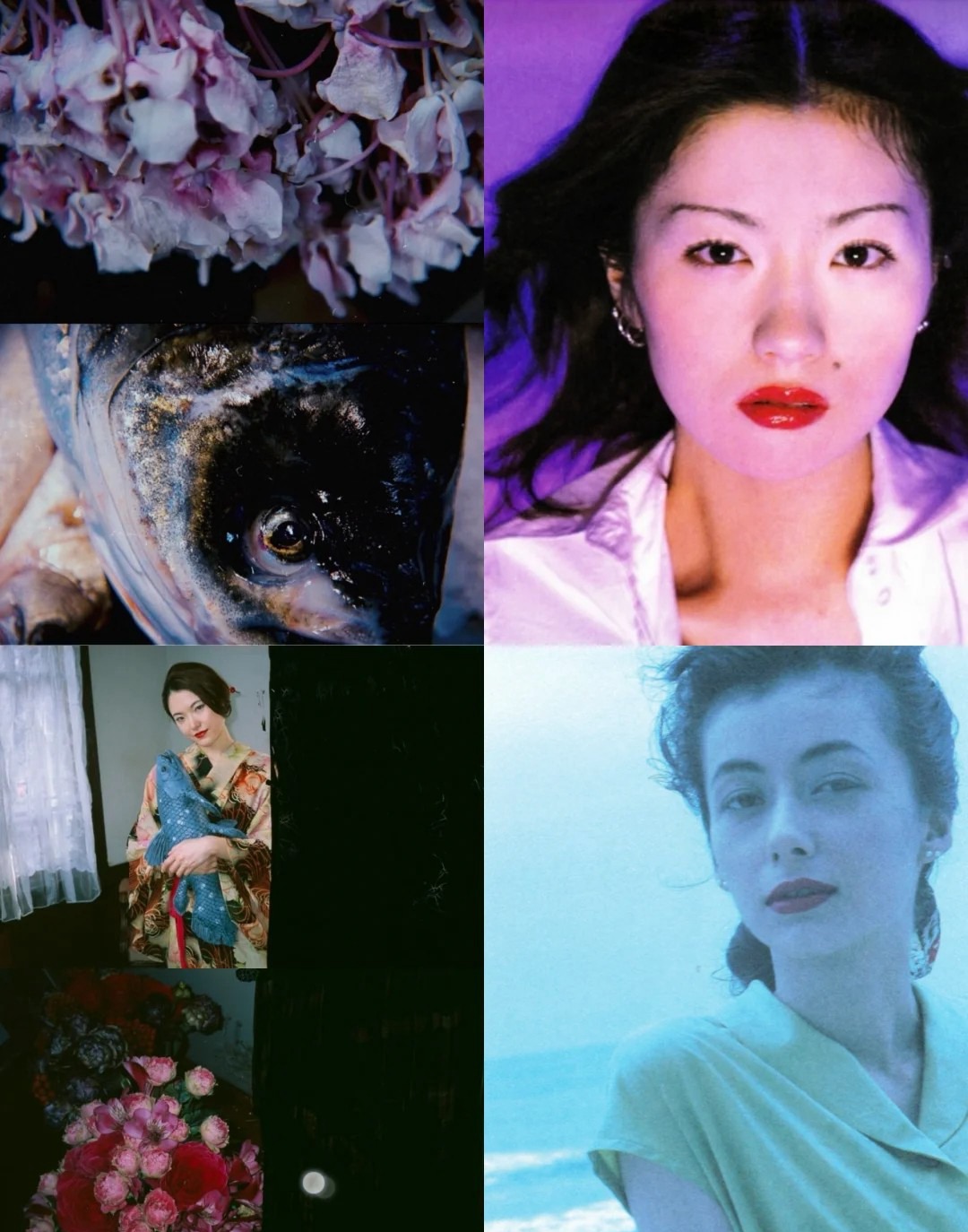 日本日系摄影师【荒木经惟】预设合集Nobuyoshi Araki荒诞怪诞风纪实人文摄影LR预设PS调色PR剪映滤镜LUT预设 插件预设 sucaiwan.com