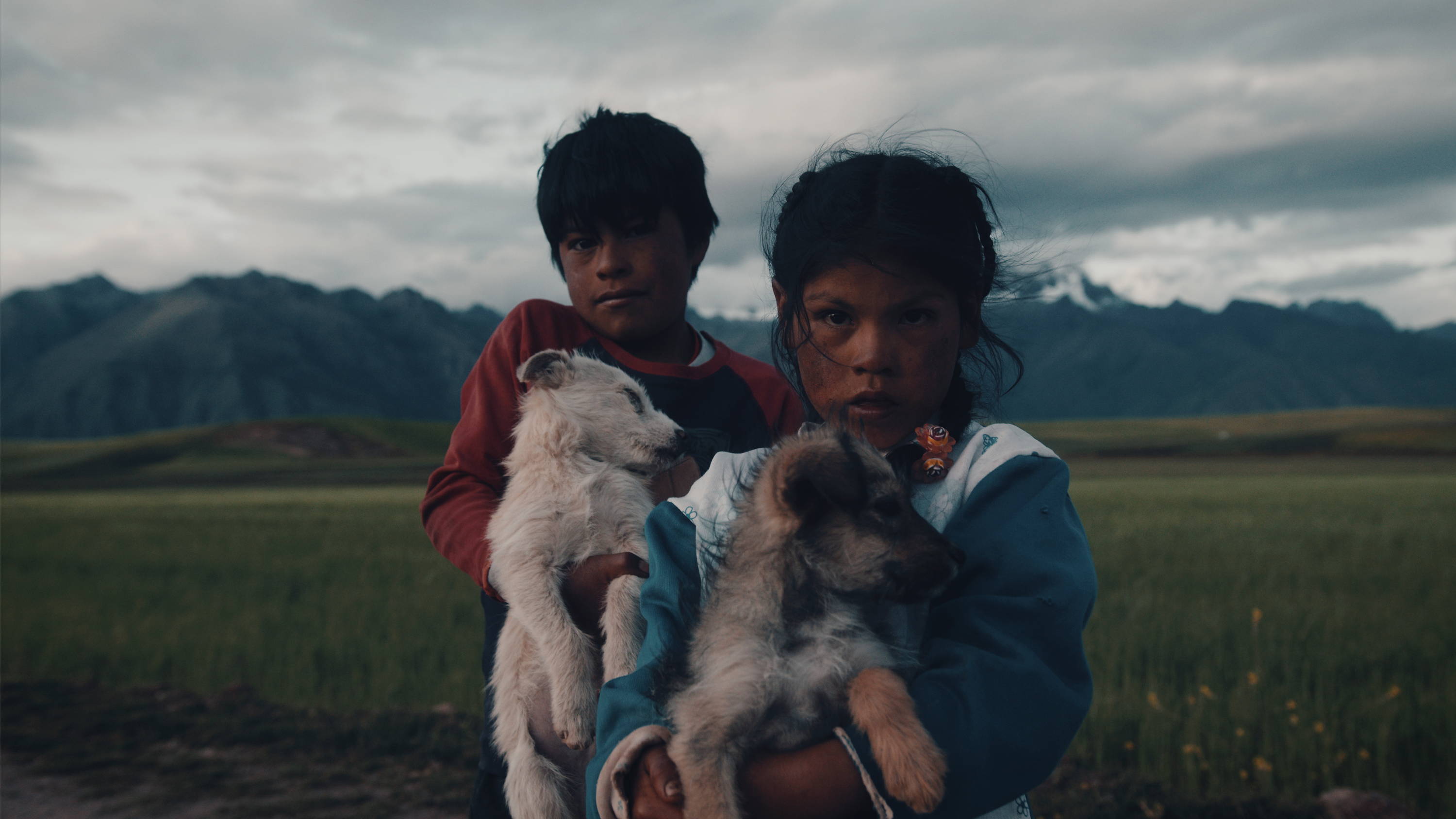 Filmspace电影级luts音效原声带终极后期捆绑包The Ultimate Master Bundle 影视音频 第7张-素材湾丨精选海外优质设计素材资源 Filmspace电影级luts音效原声带终极后期捆绑包The Ultimate Master Bundle 影视音频 sucaiwan.com