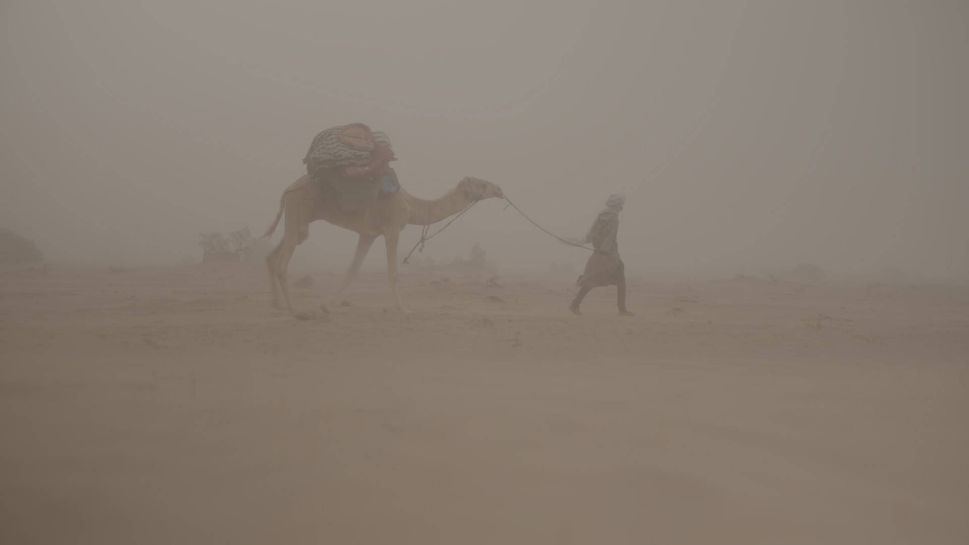 Filmspace电影级luts音效原声带终极后期捆绑包The Ultimate Master Bundle 影视音频 第18张-素材湾丨精选海外优质设计素材资源 Filmspace电影级luts音效原声带终极后期捆绑包The Ultimate Master Bundle 影视音频 sucaiwan.com