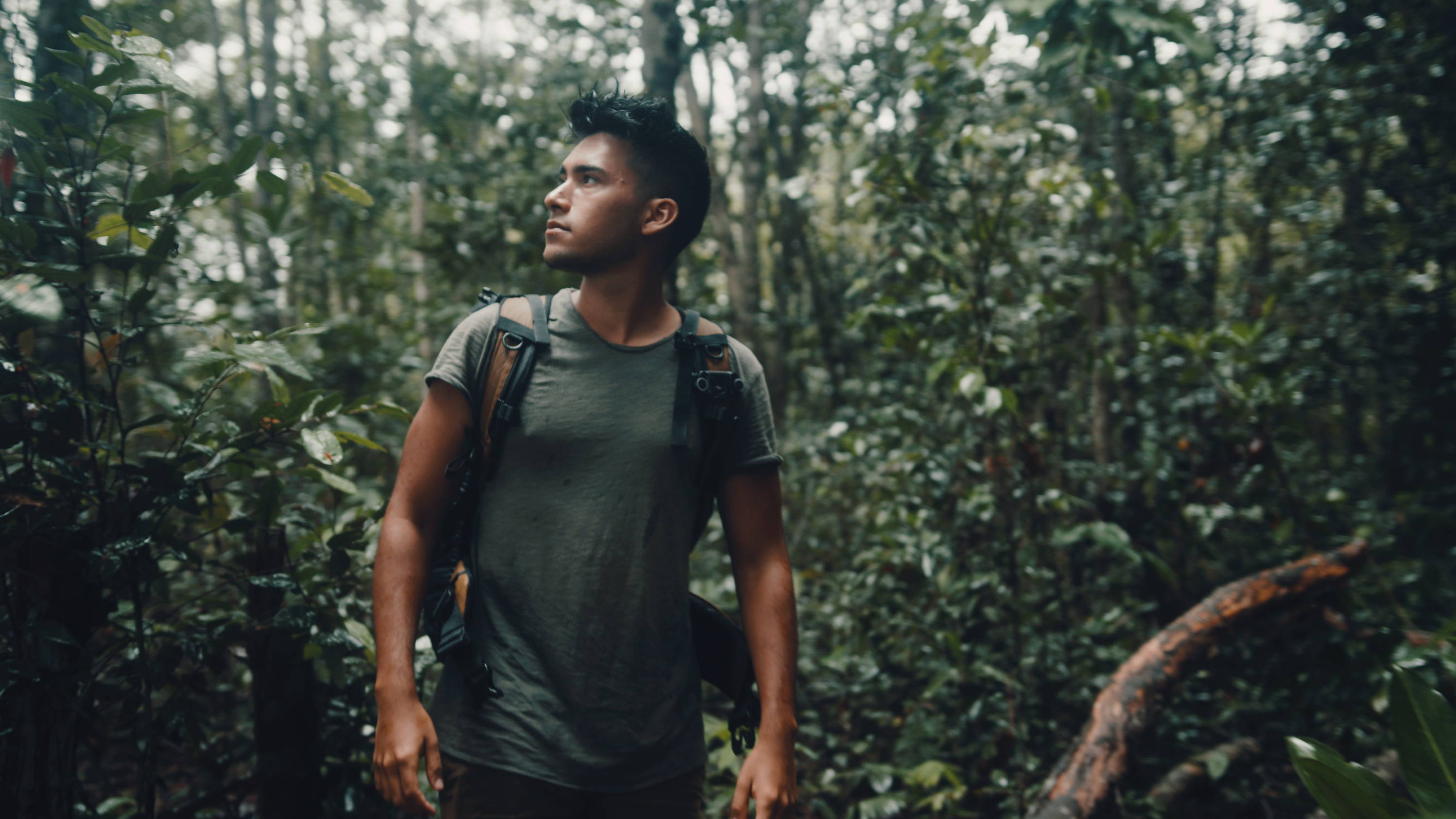 Filmspace电影级luts音效原声带终极后期捆绑包The Ultimate Master Bundle 影视音频 第23张-素材湾丨精选海外优质设计素材资源 Filmspace电影级luts音效原声带终极后期捆绑包The Ultimate Master Bundle 影视音频 sucaiwan.com