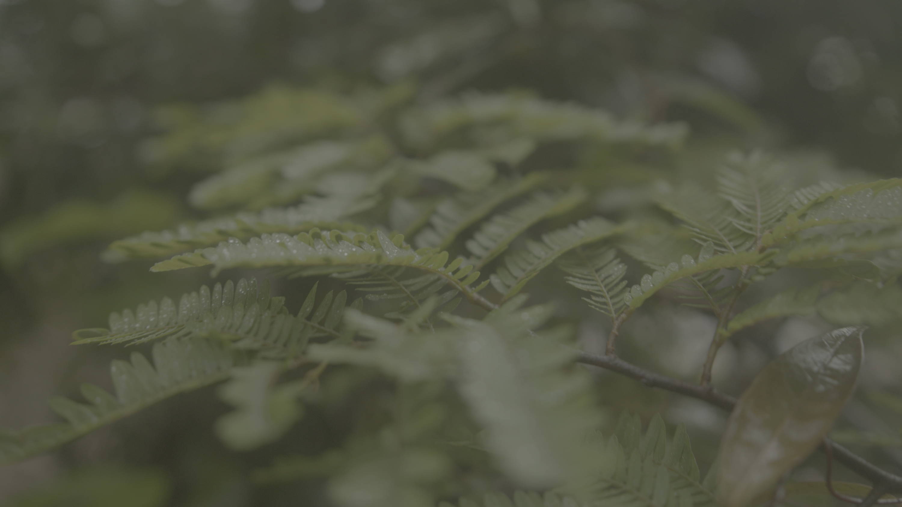 Filmspace电影级luts音效原声带终极后期捆绑包The Ultimate Master Bundle 影视音频 第24张-素材湾丨精选海外优质设计素材资源 Filmspace电影级luts音效原声带终极后期捆绑包The Ultimate Master Bundle 影视音频 sucaiwan.com