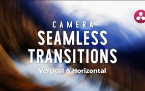 达芬奇模板:40种真实摄像机运动模拟缩放平移旋转摄像机抖动无缝转场过渡