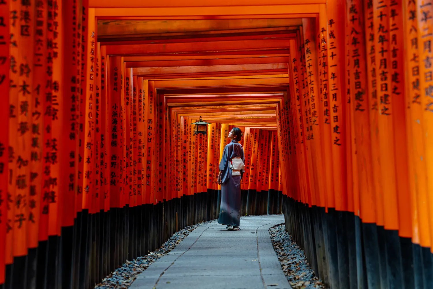 35个风格化复古怀旧现代美学风光人像摄影后期LR预设合集 Supreme - TZ Lightroom Presets Complete Collection 插件预设 第13张-素材湾丨精选海外优质设计素材资源 35个风格化复古怀旧现代美学风光人像摄影后期LR预设合集 Supreme - TZ Lightroom Presets Complete Collection 插件预设 sucaiwan.com