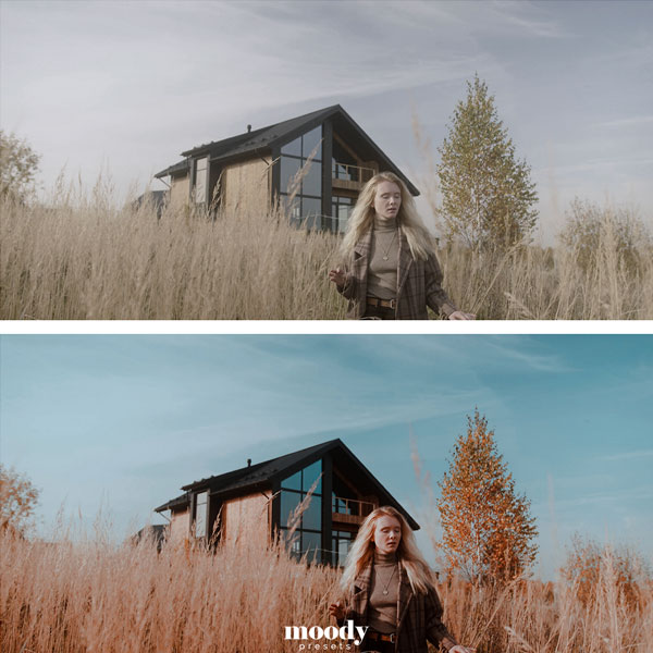 LUT预设-100+创意电影风格化视频调色预设 Moody Cinematic LUTs 插件预设 sucaiwan.com