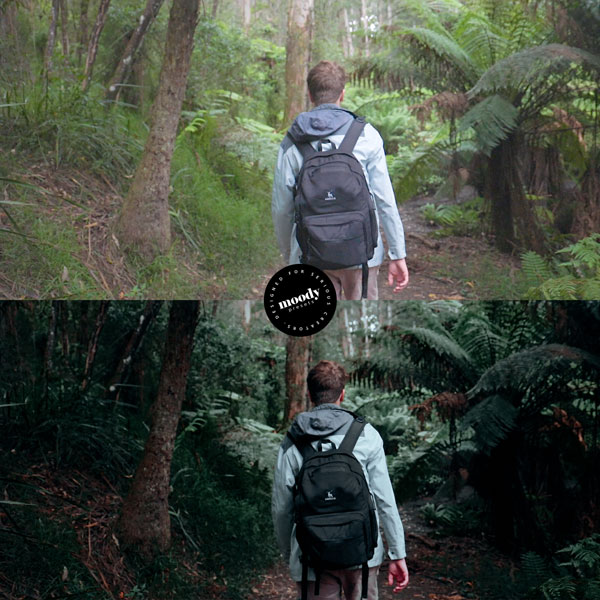 LUT预设-100+创意电影风格化视频调色预设 Moody Cinematic LUTs 插件预设 sucaiwan.com