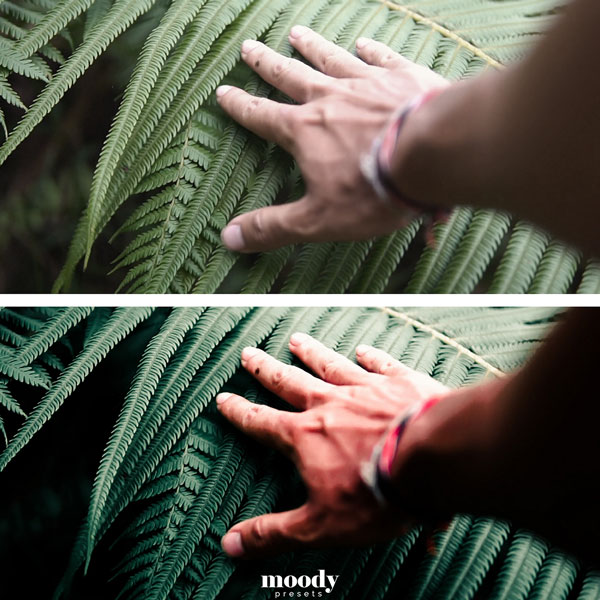 LUT预设-100+创意电影风格化视频调色预设 Moody Cinematic LUTs 插件预设 sucaiwan.com