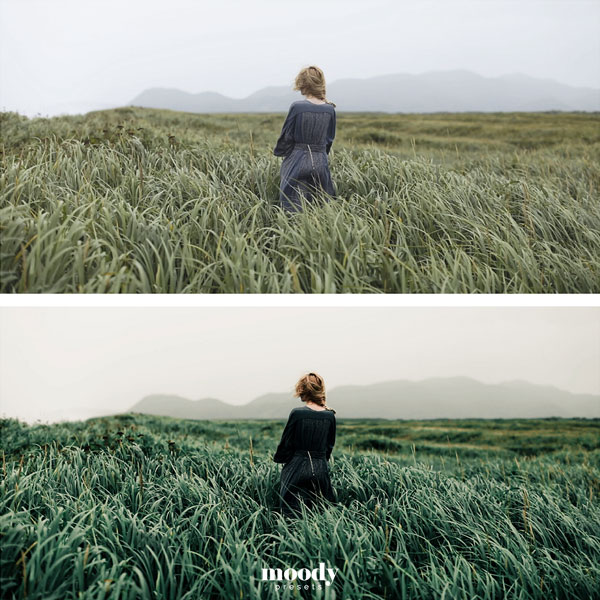 LUT预设-100+创意电影风格化视频调色预设 Moody Cinematic LUTs 插件预设 sucaiwan.com