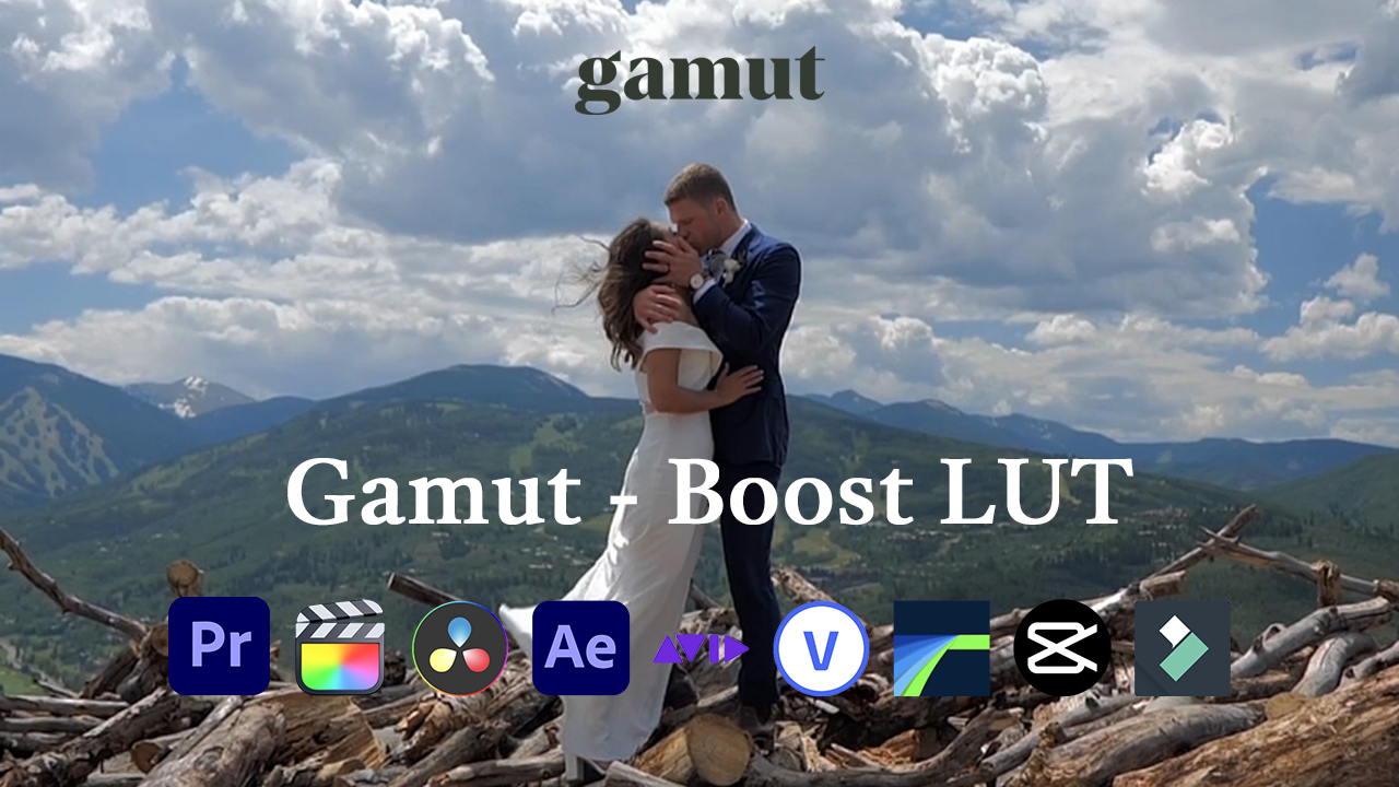 Gamut - Boost 婚礼人像肤色丰富对比度柔和高光穆迪Rec709LUT调色预设 插件预设 第1张-素材湾丨精选海外优质设计素材资源 Gamut - Boost 婚礼人像肤色丰富对比度柔和高光穆迪Rec709LUT调色预设 插件预设 sucaiwan.com
