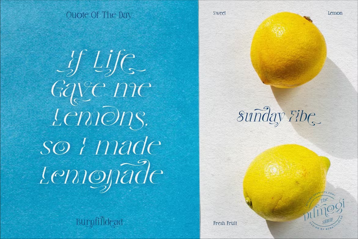 复古波西米亚风杂志海报徽标设计衬线英文字体安装包 Dumogi Font 设计素材 sucaiwan.com