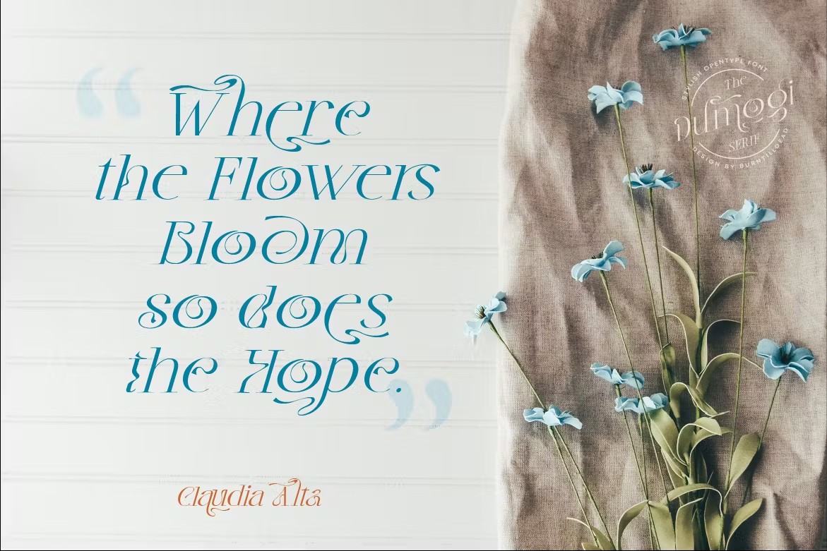 复古波西米亚风杂志海报徽标设计衬线英文字体安装包 Dumogi Font 设计素材 sucaiwan.com