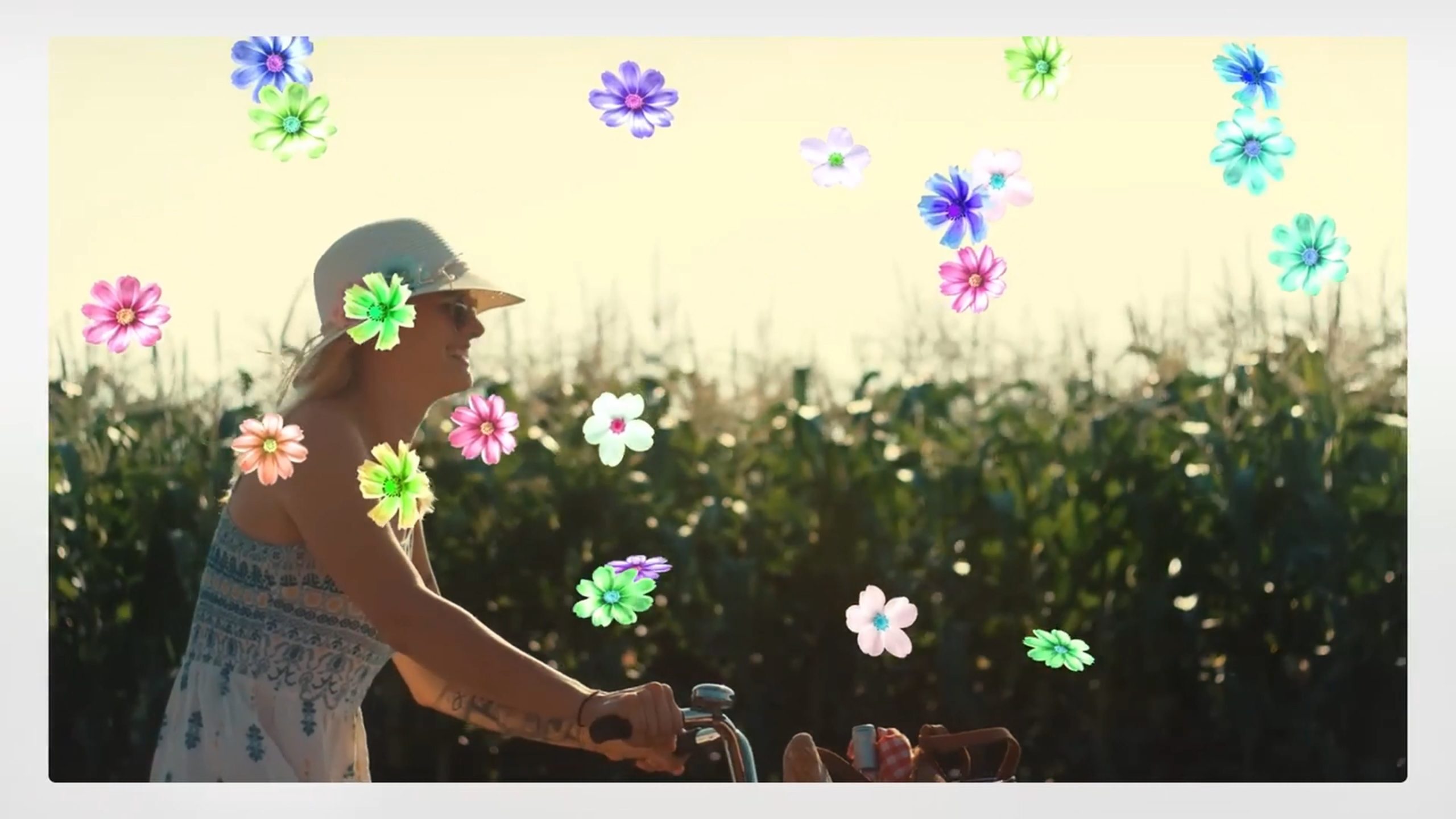 4K视频花朵/树叶/现金/卡通粒子飘落特效元素套装二合一AE/FCPX模板Falling Skies - Particle system pack 影视音频 sucaiwan.com