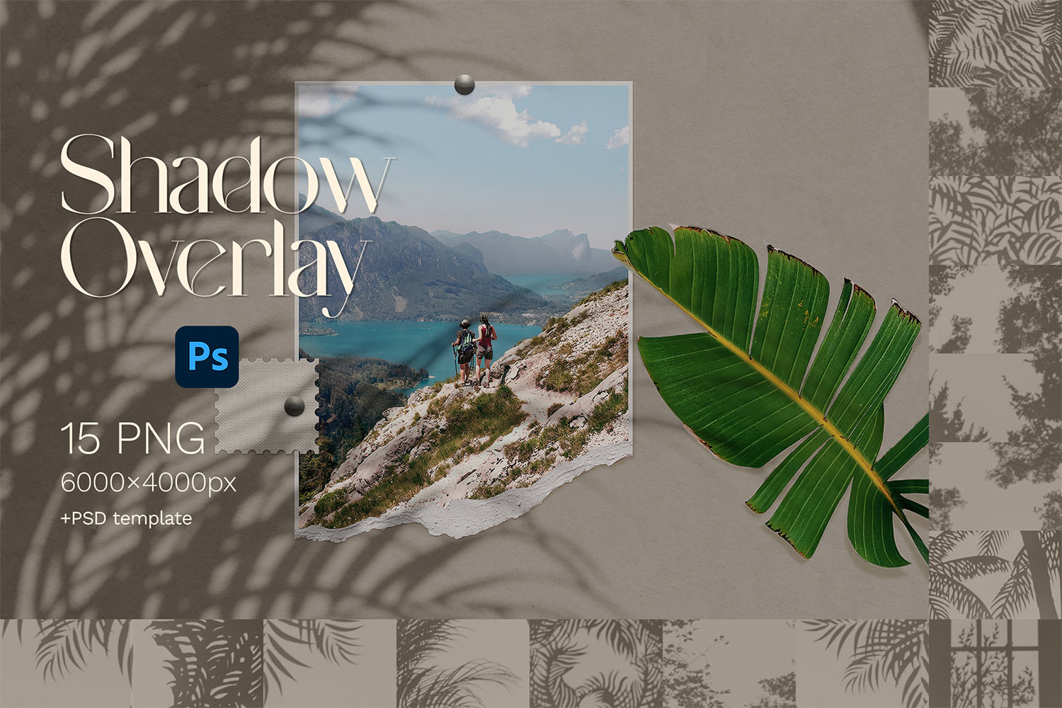 15款自然树叶阴影叠加层效果6K高清背景图PS设计素材包 Shadow Overlays , 第1张-素材湾丨精选海外优质设计素材资源 15款自然树叶阴影叠加层效果6K高清背景图PS设计素材包 Shadow Overlays , sucaiwan.com