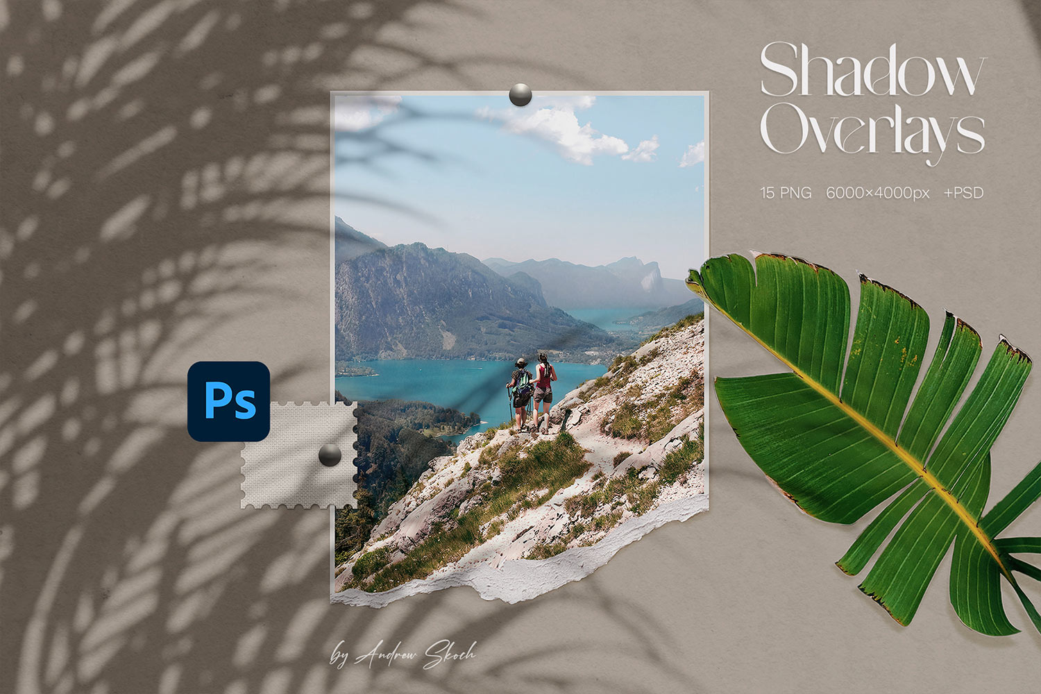 15款自然树叶阴影叠加层效果6K高清背景图PS设计素材包 Shadow Overlays , 第4张-素材湾丨精选海外优质设计素材资源 15款自然树叶阴影叠加层效果6K高清背景图PS设计素材包 Shadow Overlays , sucaiwan.com
