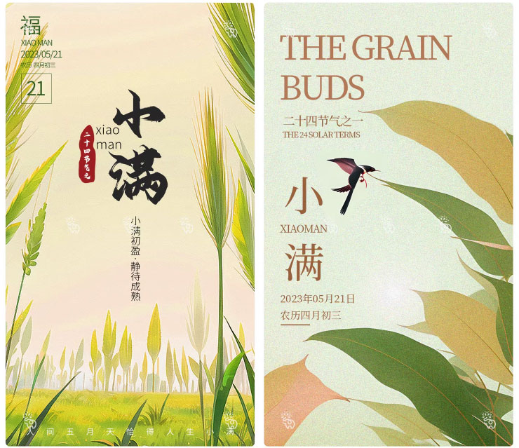 123套 24节气节日小满海报模板PSD设计素材 , sucaiwan.com