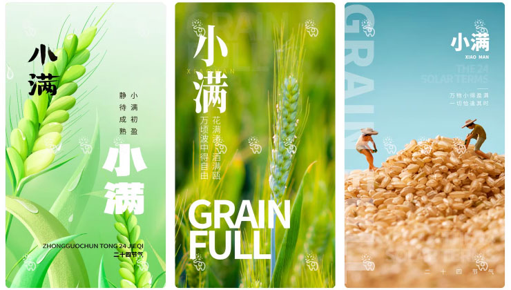 123套 24节气节日小满海报模板PSD设计素材 , sucaiwan.com