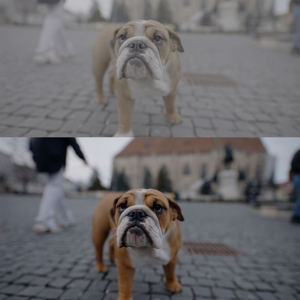 LUT预设–全新索尼SLOG3商业电影级色彩外观Luts预设包 Alexandru Don SONY SLOG 3 LUTS SKINTONE EDITION 插件预设 第9张-素材湾丨精选海外优质设计素材资源 LUT预设–全新索尼SLOG3商业电影级色彩外观Luts预设包 Alexandru Don SONY SLOG 3 LUTS SKINTONE EDITION 插件预设 sucaiwan.com