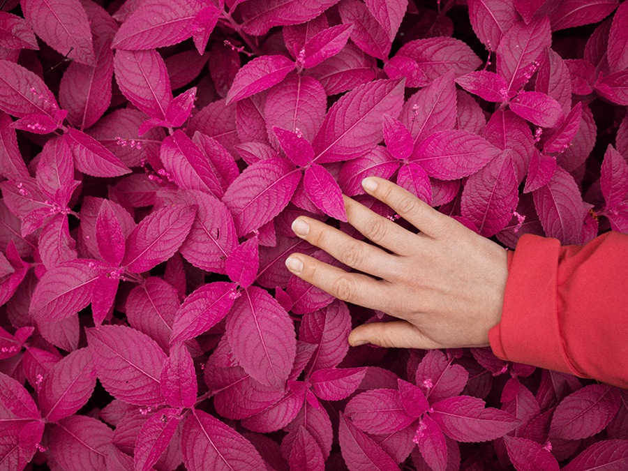 180多个复古柯达富士胶片美学色彩 Lightroom / Capture One / C1 摄影后期调色预设 RNI All Films 5 - Pro 插件预设 第10张-素材湾丨精选海外优质设计素材资源 180多个复古柯达富士胶片美学色彩 Lightroom / Capture One / C1 摄影后期调色预设 RNI All Films 5 - Pro 插件预设 sucaiwan.com