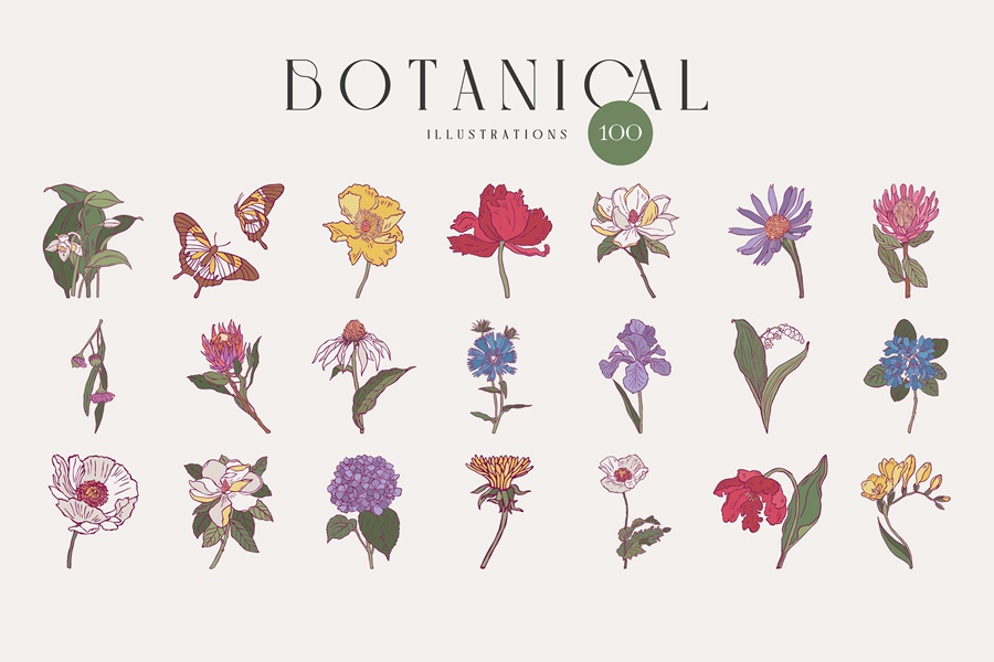 100款时尚自然女性剪影热带花卉植物海报设计AI矢量手绘插画素材 Flower Boom Prints Posters , sucaiwan.com