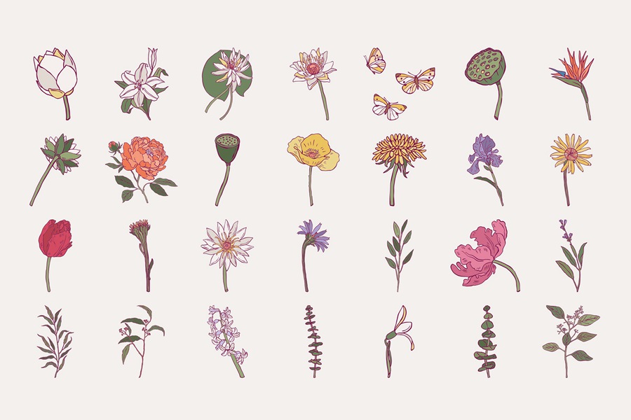 100款时尚自然女性剪影热带花卉植物海报设计AI矢量手绘插画素材 Flower Boom Prints Posters , sucaiwan.com