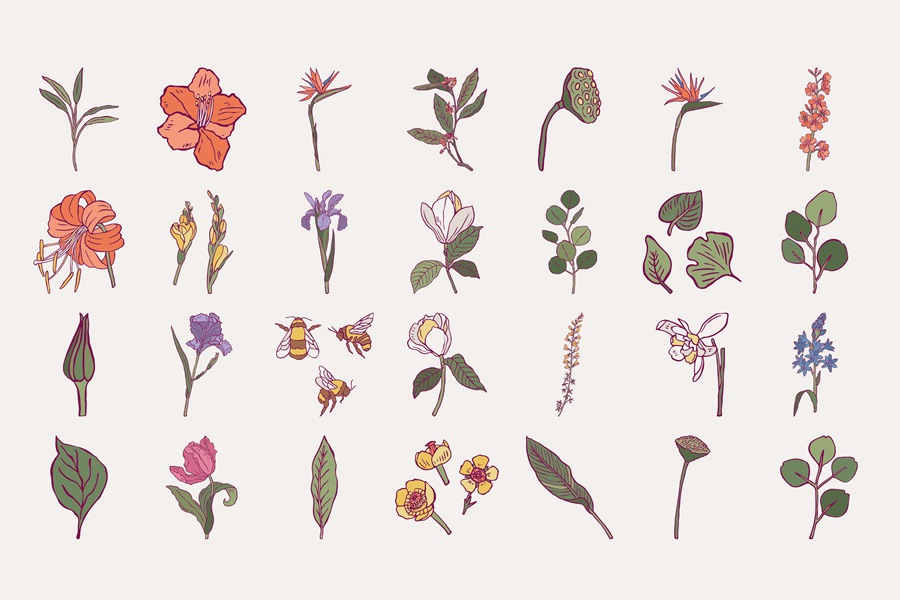 100款时尚自然女性剪影热带花卉植物海报设计AI矢量手绘插画素材 Flower Boom Prints Posters , sucaiwan.com