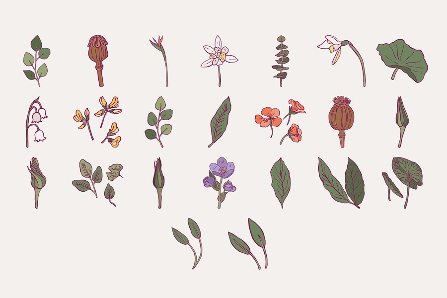 100款时尚自然女性剪影热带花卉植物海报设计AI矢量手绘插画素材 Flower Boom Prints Posters , sucaiwan.com